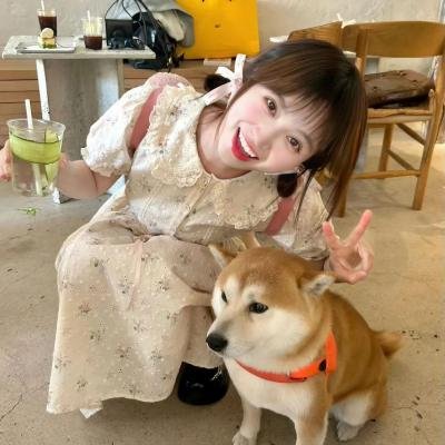 解谎侦探少女